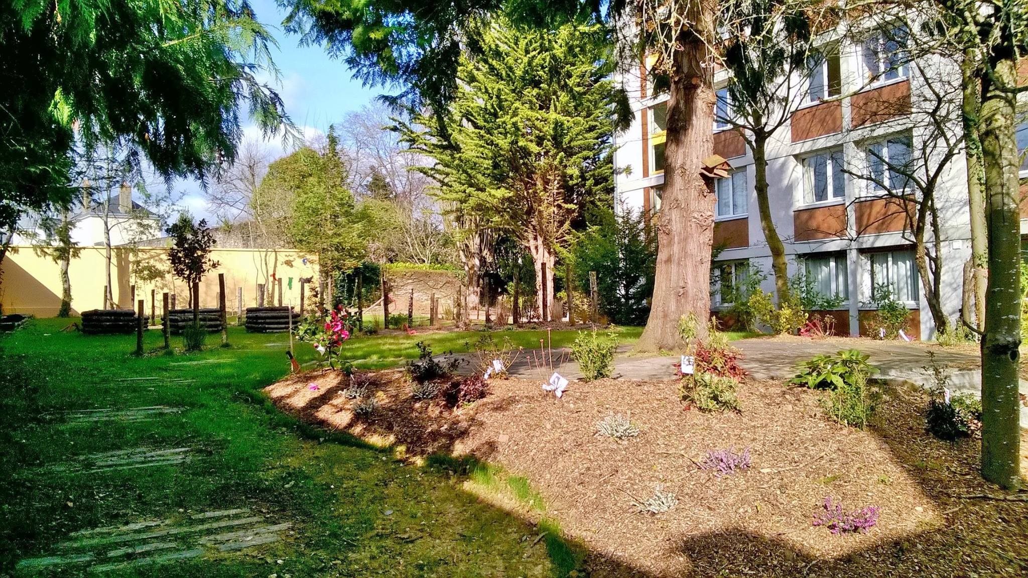 Flore Habitat Jeunes — 2/2