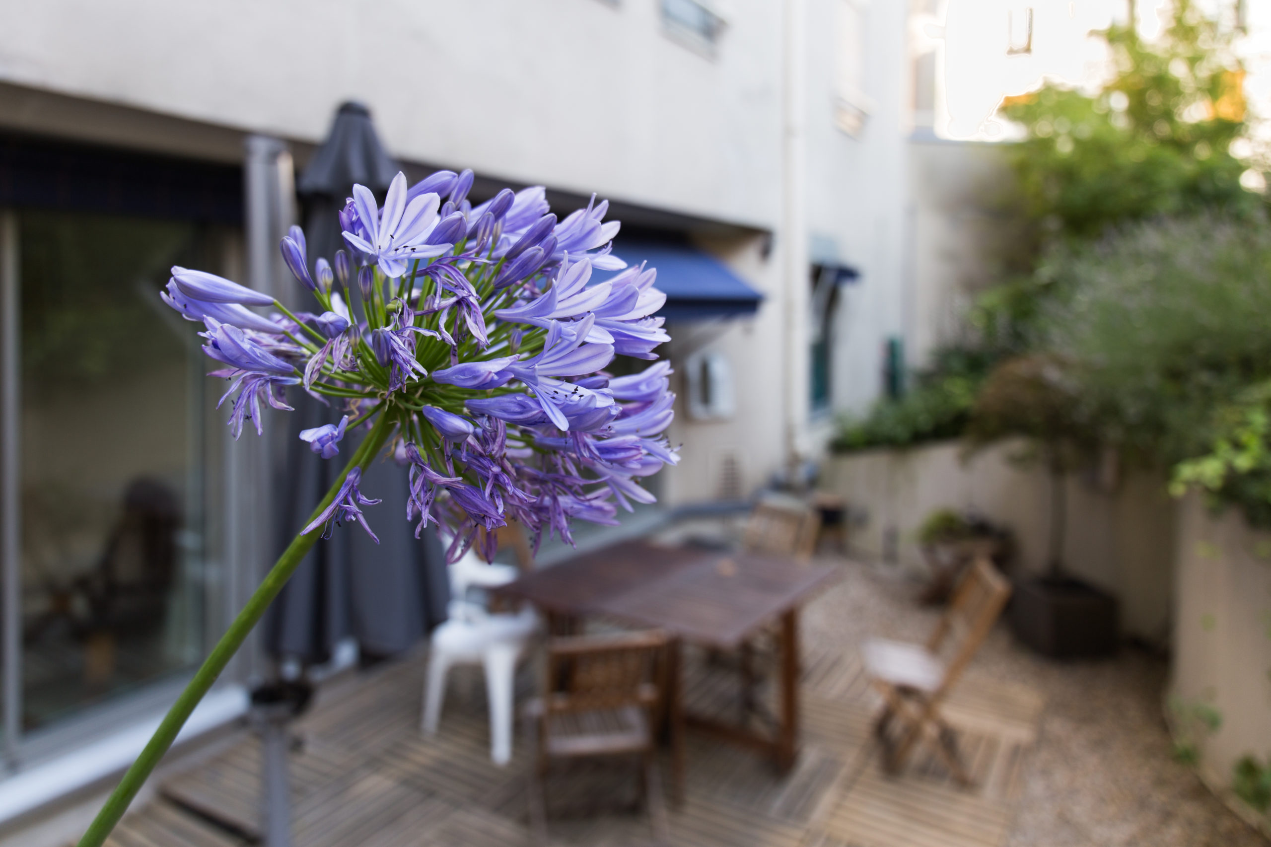 Foyer Jeune Cordee — 2/2